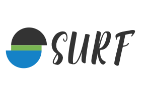 Magasin De Matériel De Surf