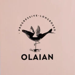 LONGBOARD 900 9'4" 74 L . Livré Avec 1 Aileron 10". -Magasin De Matériel De Surf longboard 900 94 74 l livre avec 1 aileron 10 6